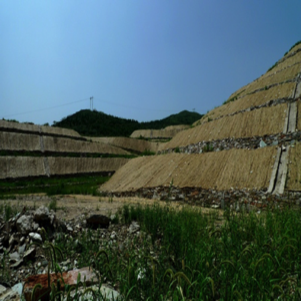 边坡生态修复设计与施工
Design & construction for slope ecological restoration 边坡生态修复设计与施工
Design & construction for slope ecological restoration